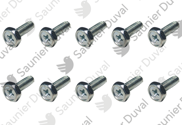 Vis, (x10) Saunier Duval - 0020205930