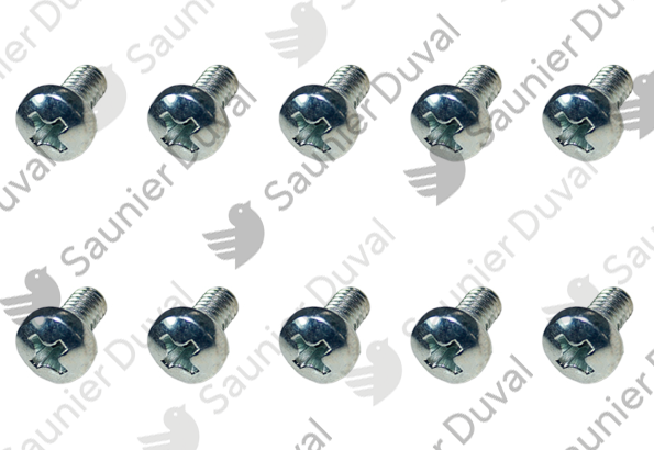 Vis, (x10) Saunier Duval - 0020205961