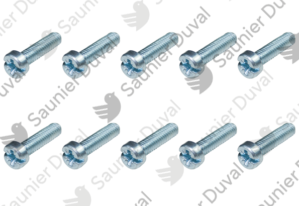 Vis, (x10) Saunier Duval - 0020205984