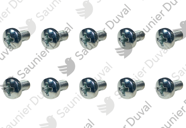 Vis, (x10) Saunier Duval - 0020205995
