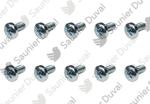Vis, (x10) Saunier Duval - 0020206004