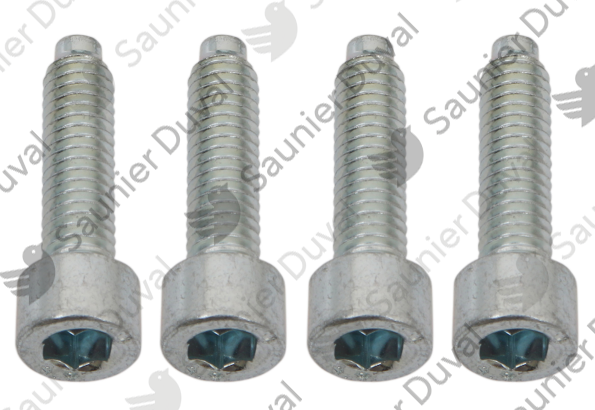 Vis, pompe (x4) Saunier Duval - 0020207139