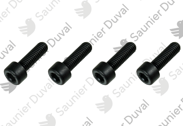 Vis, pompe (x4) Saunier Duval - 0020207143