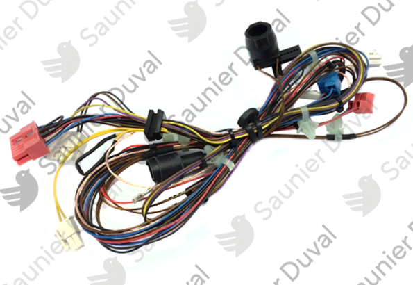 Faisceau Saunier Duval - 0020210123