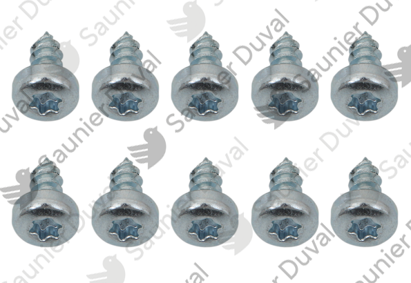 Vis, (x10) Saunier Duval - 0020211595