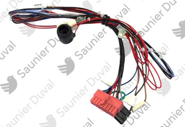 Faisceau Saunier Duval - 0020211644