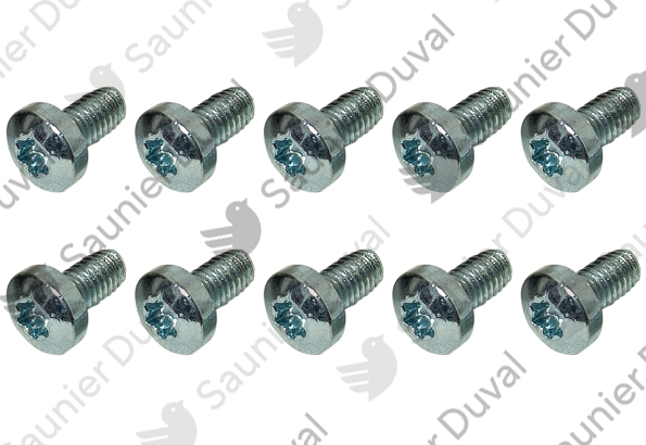 Vis, (x10) Saunier Duval - 0020220435