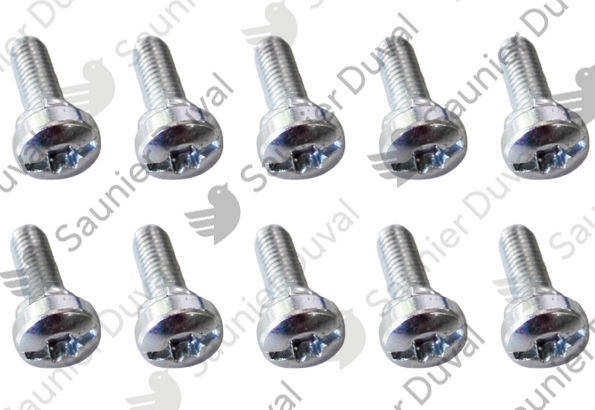 Vis, (x10) Saunier Duval - 0020220437
