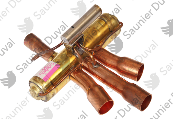 Valve Saunier Duval - 0020266484