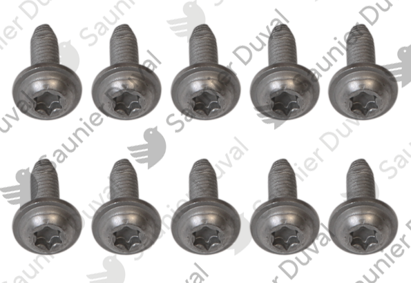 Vis, (x10) Saunier Duval - 0020273338