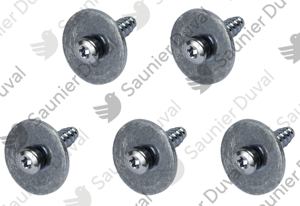 Vis, (x5) Saunier Duval - 0020273356