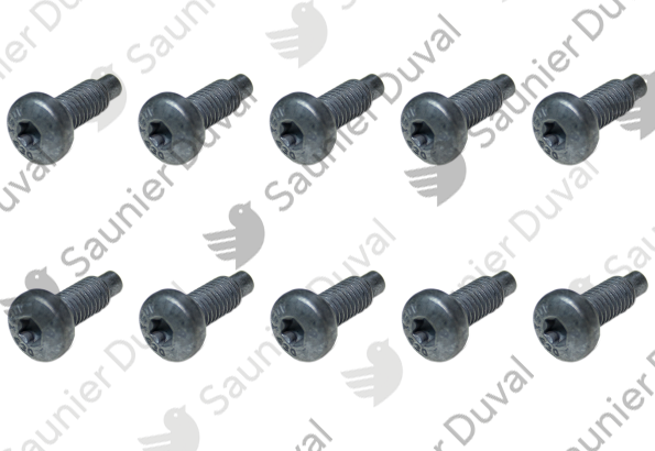 Vis, (x10) Saunier Duval - 0020273858