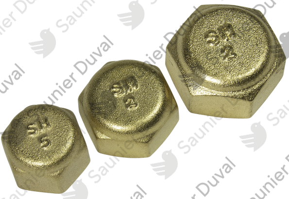 Bouchon (kit 1/2, 1/4, 3/8, 5/8 ) Saunier Duval - 0020278359