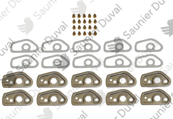 Plaquette avec joint (x10) Saunier Duval - 05400700