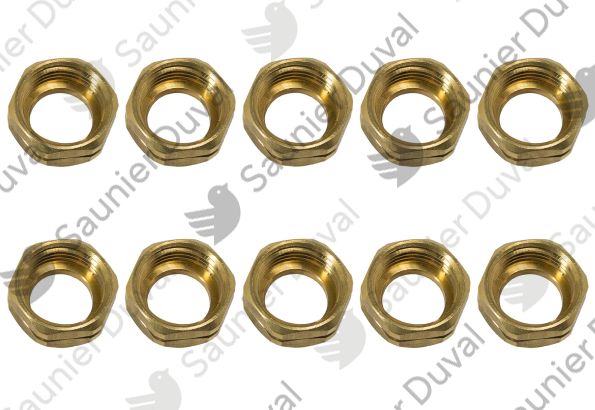 Ecrou (x10) Saunier Duval - 05404000