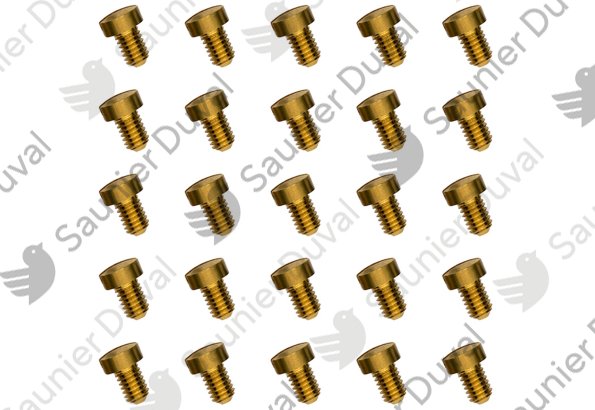 Vis (x25) Saunier Duval - 05421000