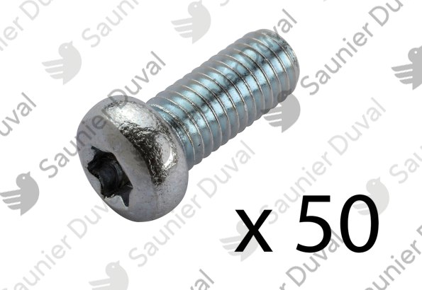 Vis, (x50) Saunier Duval - 05422100