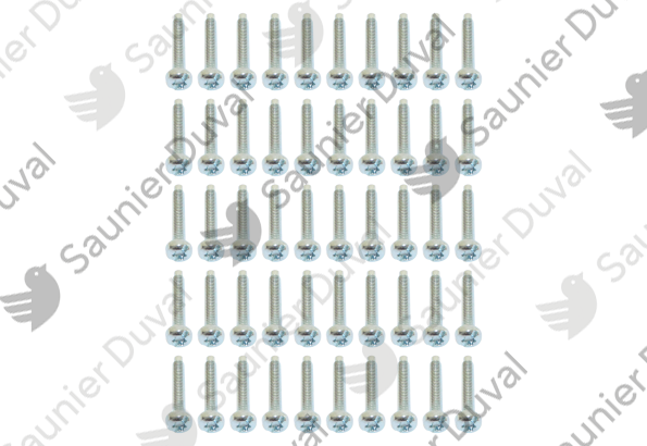 Vis, (x50) Saunier Duval - 05454600
