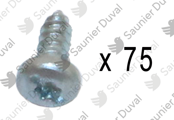 Vis, (x75) Saunier Duval - 05455500