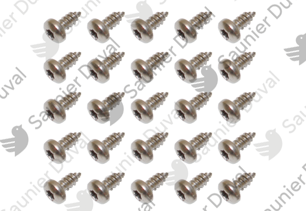 Vis, (x25) Saunier Duval - 05456400
