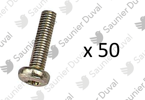 Vis, (x50) Saunier Duval - 05465900