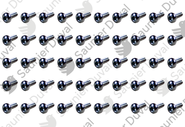 Vis, (x50) Saunier Duval - 05480300
