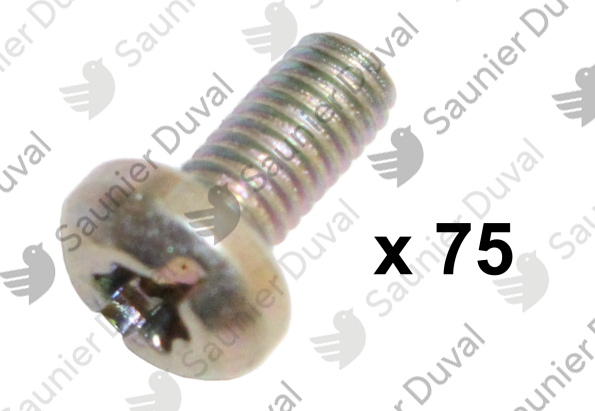 Vis, (x75) Saunier Duval - 05482500