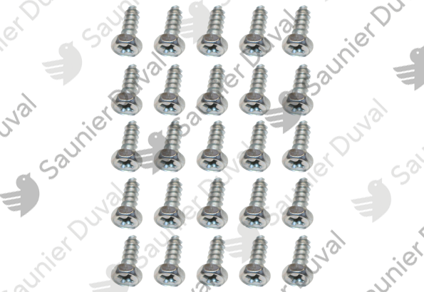Vis, (x25) Saunier Duval - 05484200