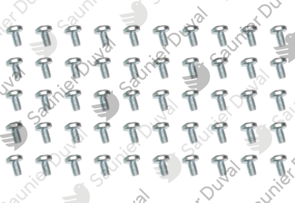 Vis, (x50) Saunier Duval - 05484400