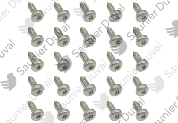 Vis, (x25) Saunier Duval - 05493300
