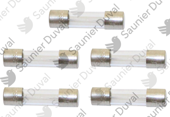 Fusible, 500mA, (x5) Saunier Duval - 05648000