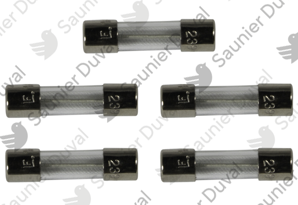 Fusible 1A (X5) Saunier Duval - 05648100