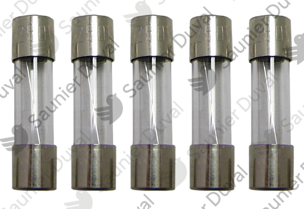 Fusible, 3,15 A, (x5) Saunier Duval - 05651600