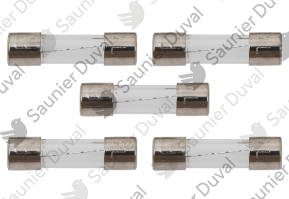 Fusible, 2A, (x5) Saunier Duval - 05651700