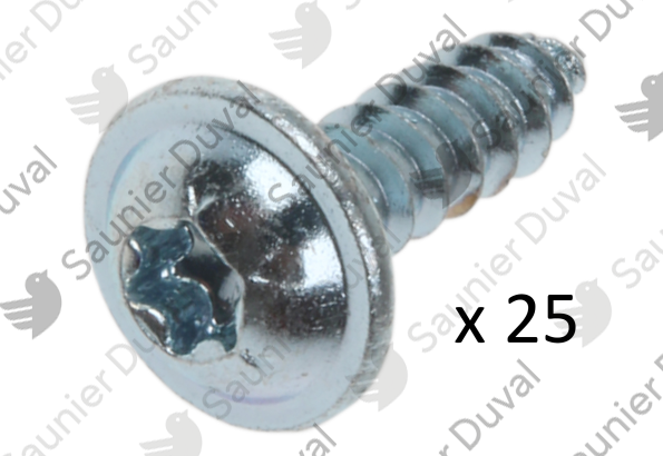 Vis, torx 4,2x13,5mm, (x25) Saunier Duval - 2000801946
