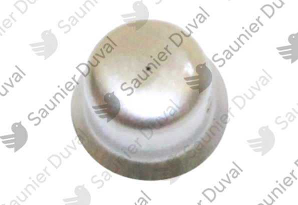 Injecteur, 0.23 Saunier Duval - 8000014769